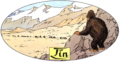 Tintin au Tibet Solution