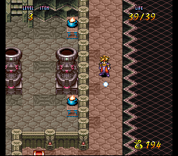 Terranigma Solution