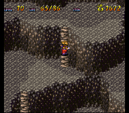 Terranigma Solution